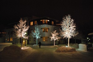 Vinterkväll