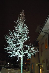Vinterträd